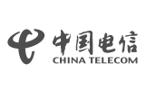 合作伙伴 中国电信