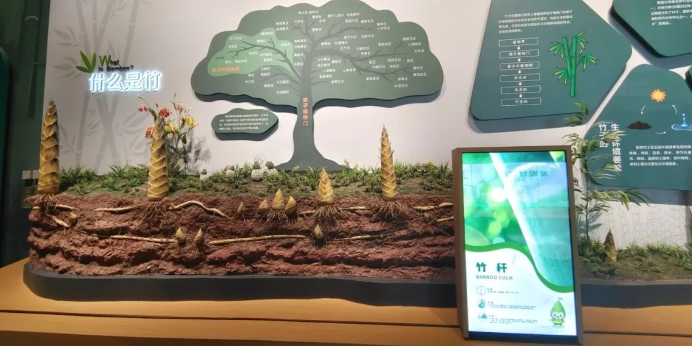 宜宾竹文化博物馆：品味竹韵文化