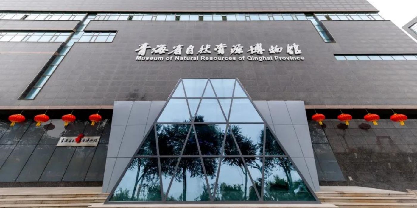 青海省自然资源博物馆：大美青海-三江之源-自然之窗-生态屏障