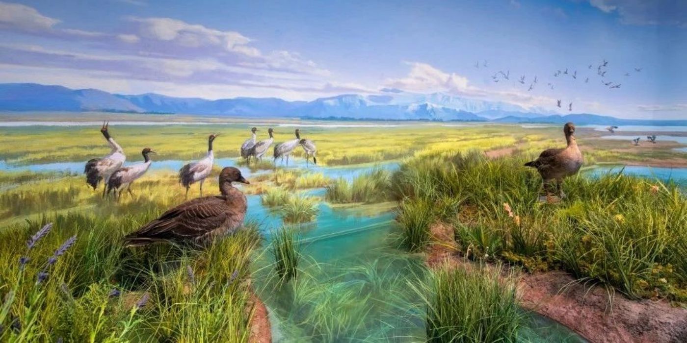 青海省自然资源博物馆：大美青海-三江之源-自然之窗-生态屏障