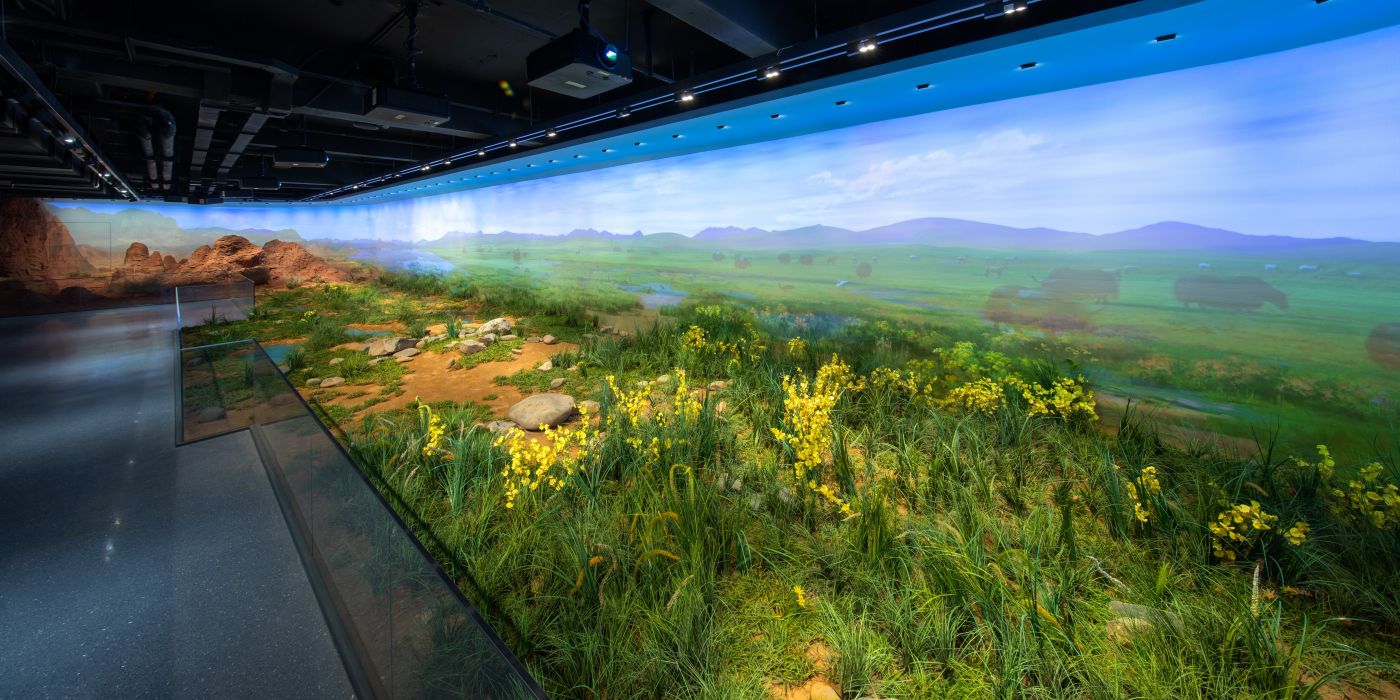 青海省自然资源博物馆：大美青海-三江之源-自然之窗-生态屏障