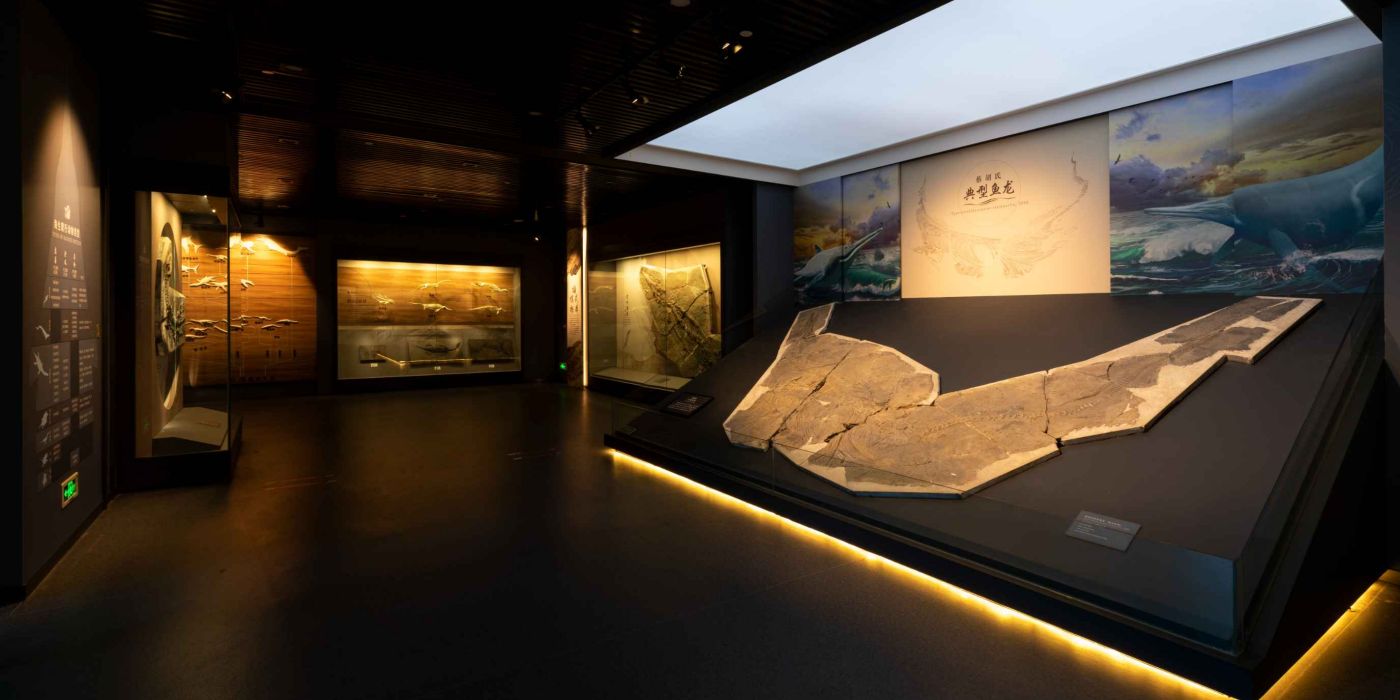 贵州地质博物馆-神秘贵州厅：古生物王国