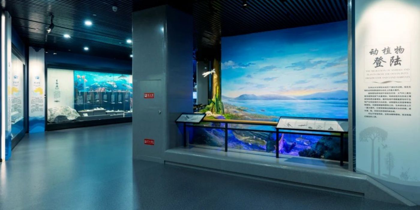 贵州地质博物馆-神秘贵州厅：古生物王国