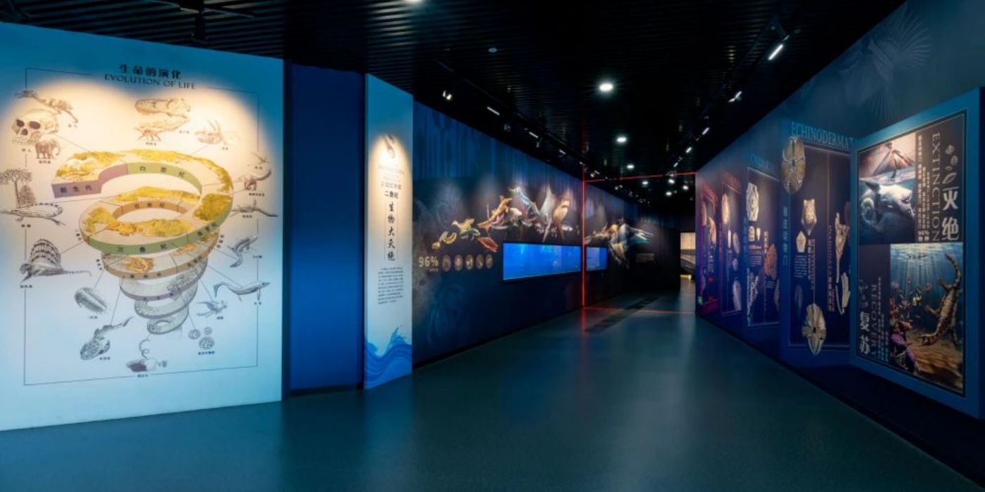 贵州地质博物馆-神秘贵州厅：古生物王国