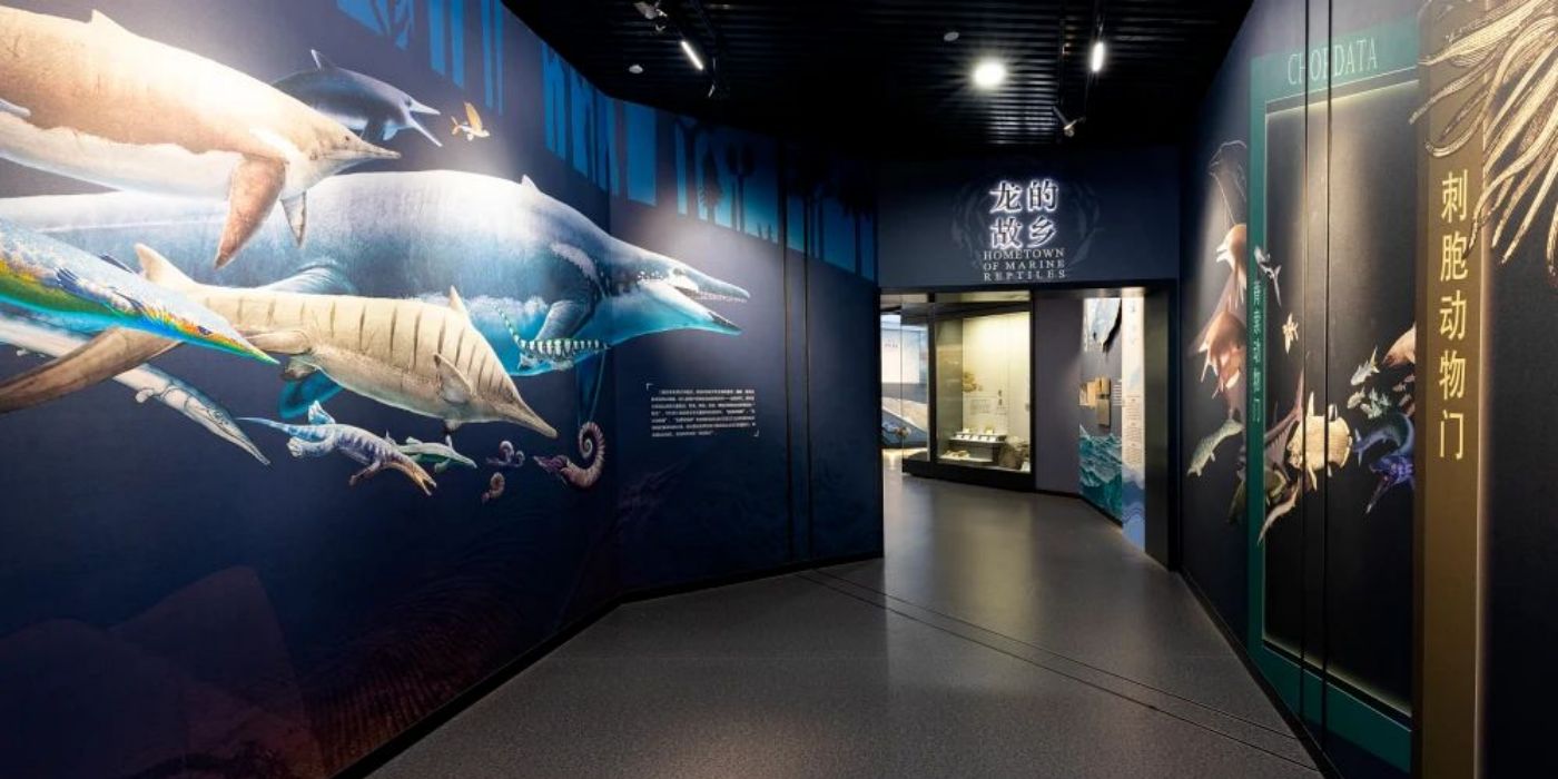 贵州地质博物馆-神秘贵州厅：古生物王国