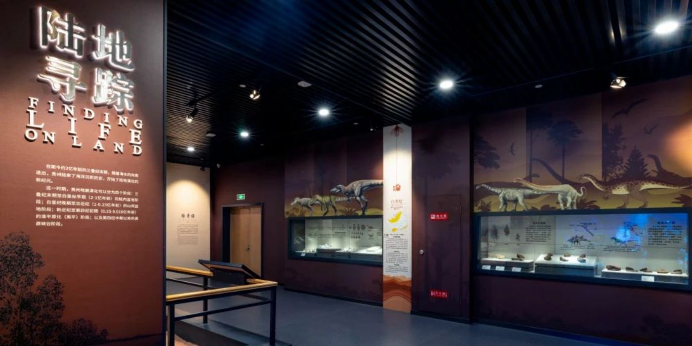 贵州地质博物馆-神秘贵州厅：古生物王国