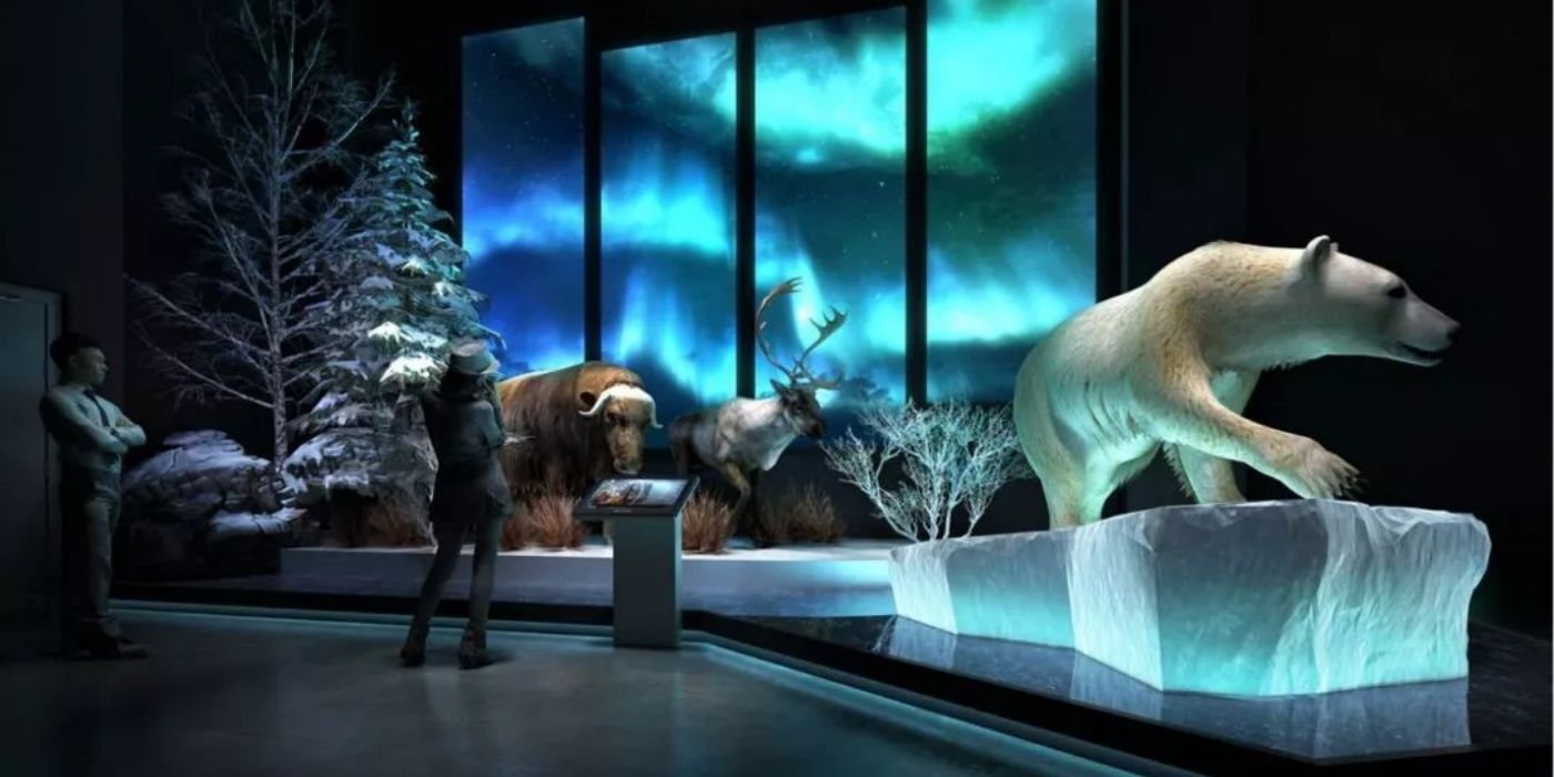 宜昌博物馆新馆：感受巴楚文化的魅力