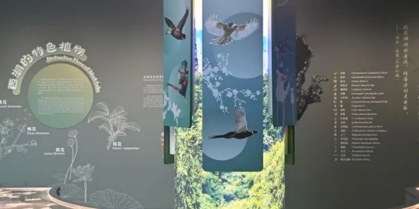 杭州西湖博物馆总馆:一览西湖天下景 杭州西湖博物馆总馆:一览西湖天下景