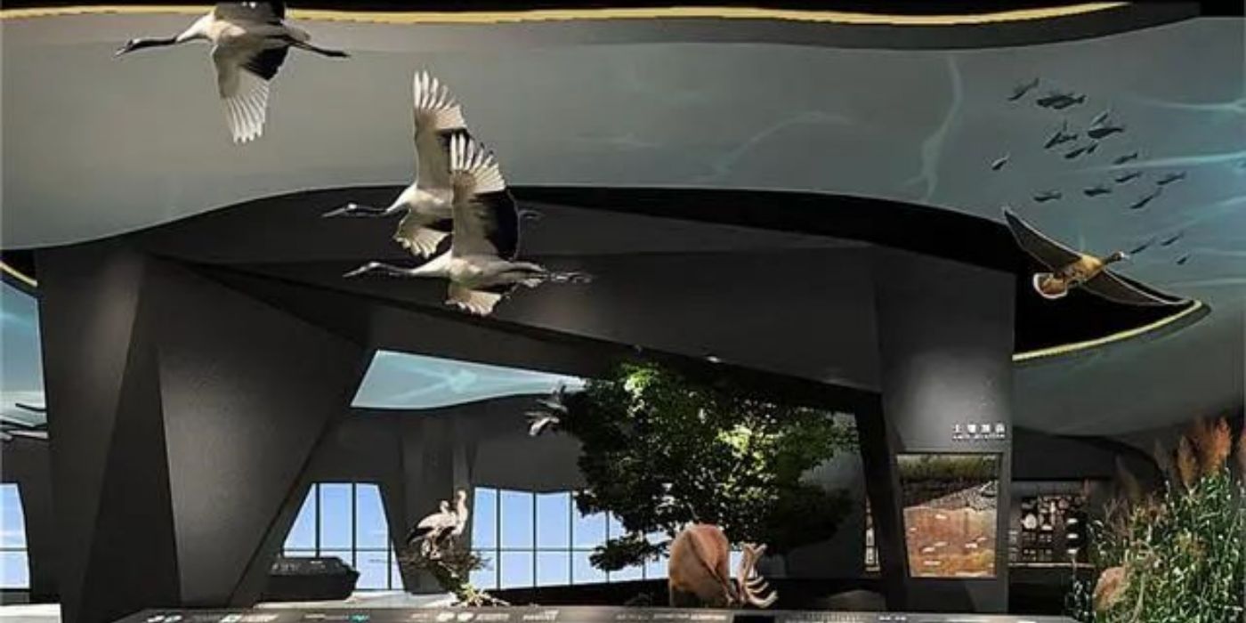 洞庭湖博物馆:尽览八百里洞庭湖风光 洞庭湖博物馆:尽览八百里洞庭湖风光