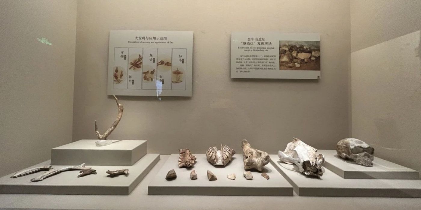 辽宁省博物馆:新中国建立的第一座博物馆 辽宁省博物馆:新中国建立的第一座博物馆