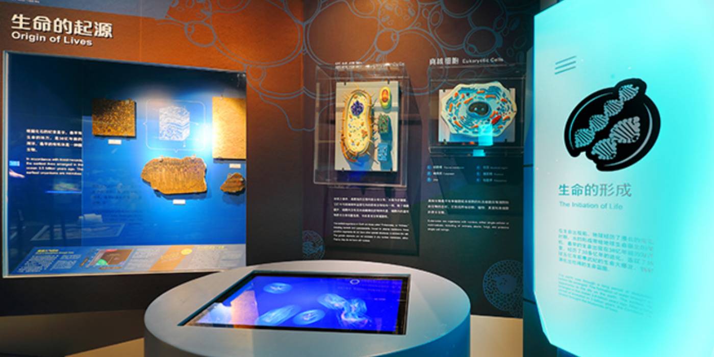 广州市天河区正佳自然科学博物馆：一座建在商场里的国家二级博物馆