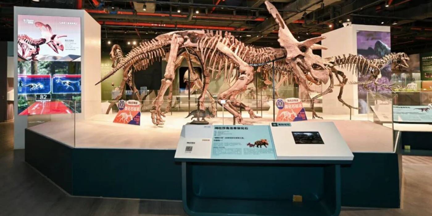 广州市天河区正佳自然科学博物馆：一座建在商场里的国家二级博物馆
