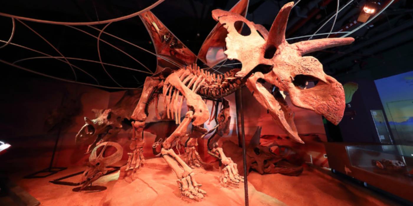 广州市天河区正佳自然科学博物馆：一座建在商场里的国家二级博物馆