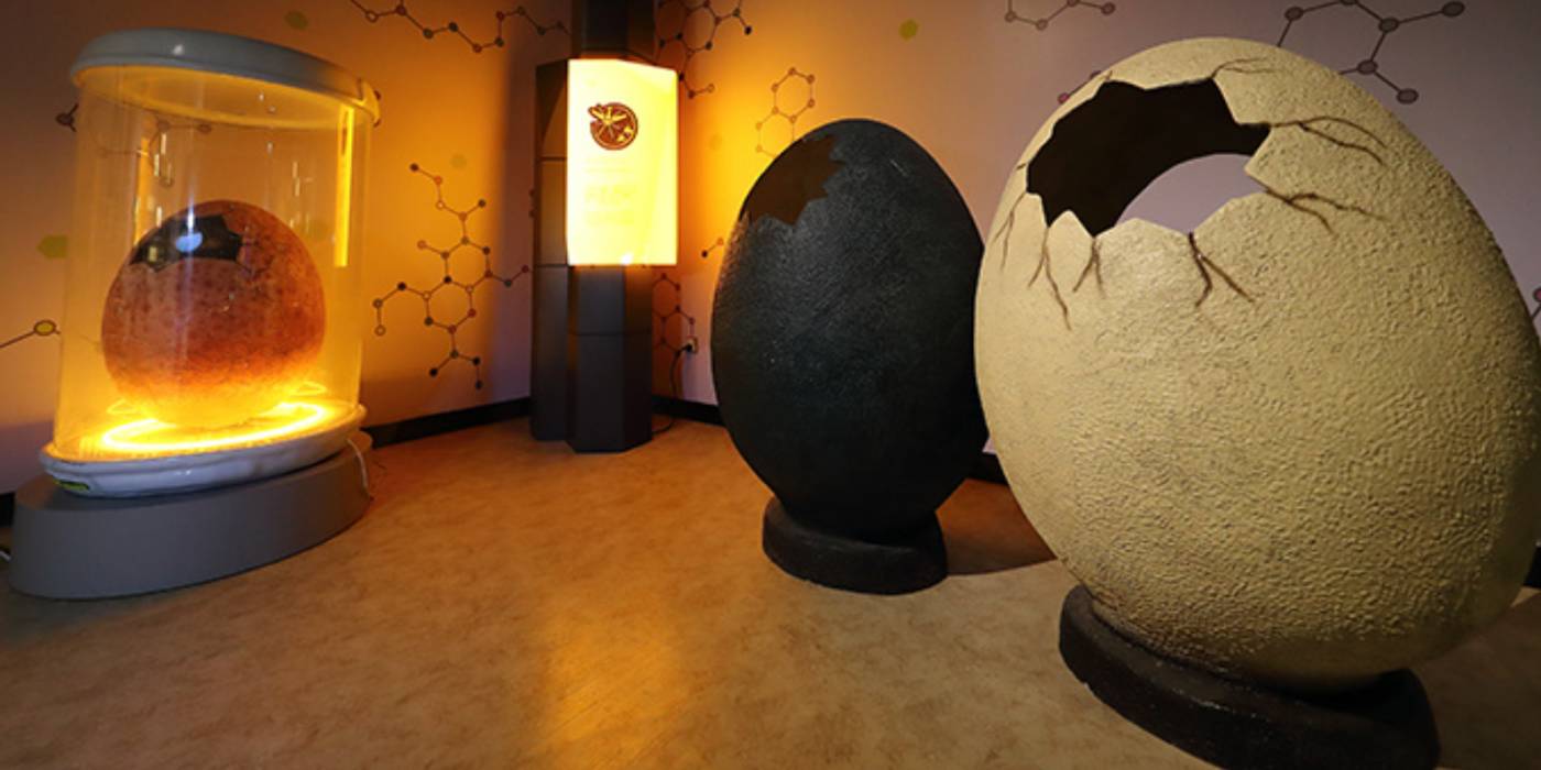 广州市天河区正佳自然科学博物馆：一座建在商场里的国家二级博物馆