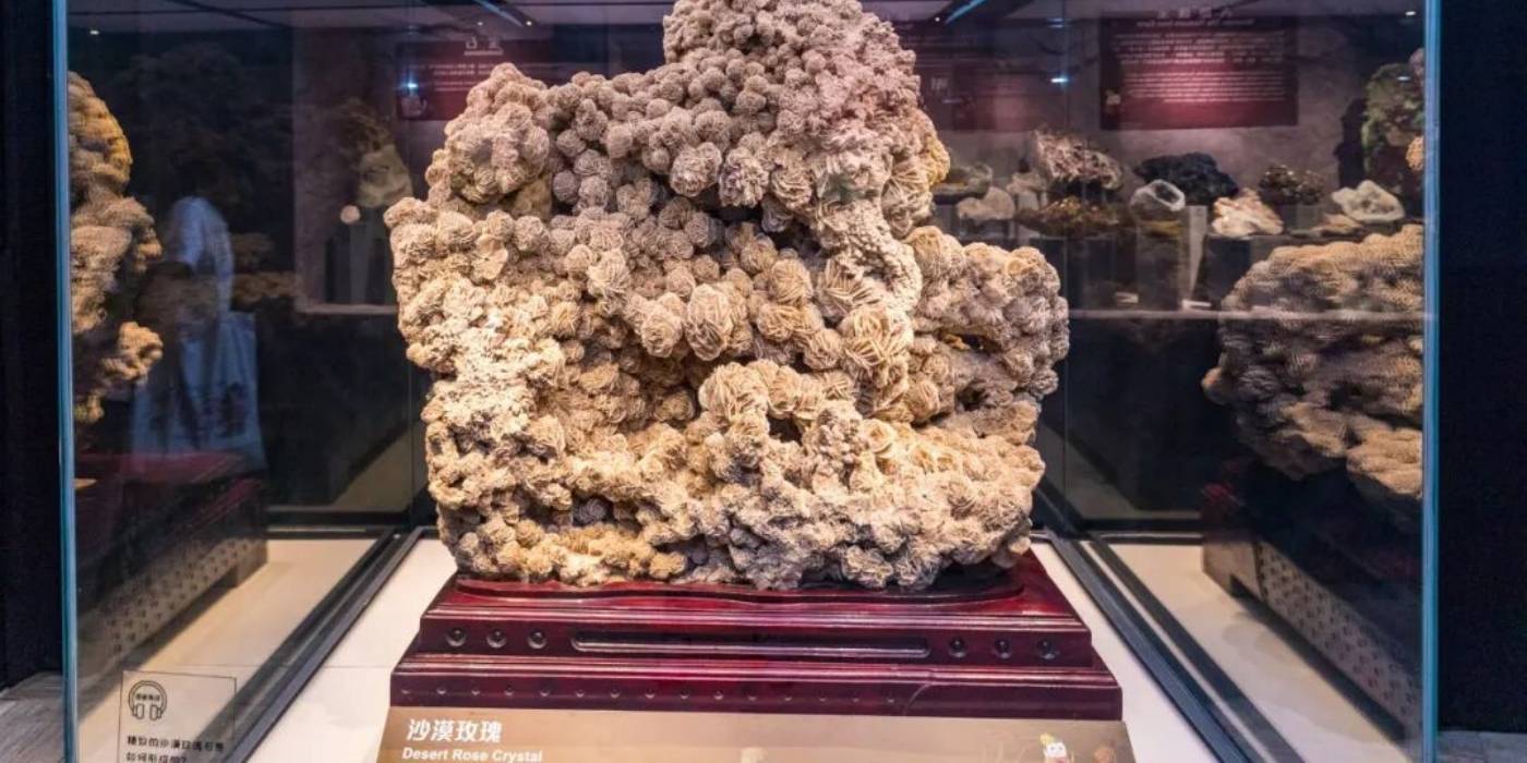 广州市天河区正佳自然科学博物馆：一座建在商场里的国家二级博物馆